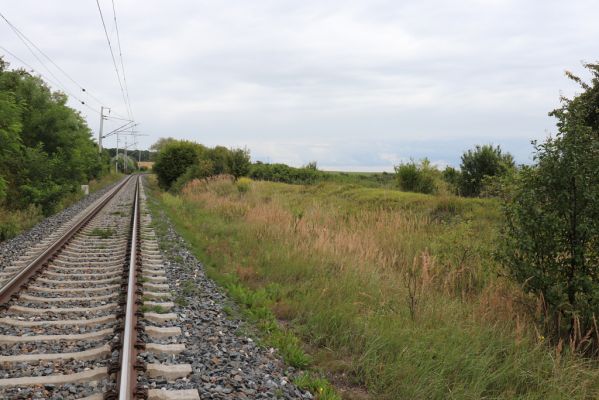 Lovčice, 20.8.2021
Zarůstající louka u železniční trati.
Klíčová slova: Lovčice louka u trati Agriotes gallicus