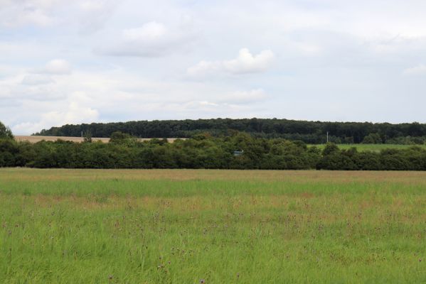 Žiželice, Končice, 20.8.2021
Pohled na zarůstající lovčické louky a sady pod železniční tratí.
Klíčová slova: Žiželice Kunčice Cidlina Lovčice