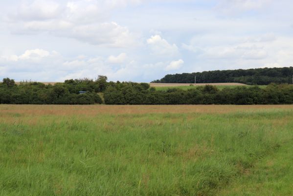 Žiželice, Končice, 20.8.2021
Pohled na zarůstající lovčické louky a sady pod železniční tratí.
Klíčová slova: Žiželice Kunčice Cidlina Lovčice