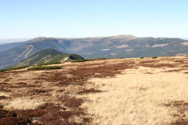 Krkonoše, Luční hora, 21.10.2012
Pohled z Luční hory na Kozí hřbety a Vysoké Kolo.
Klíčová slova: Krkonoše Luční hora Vysoké Kolo Ctenicera cuprea