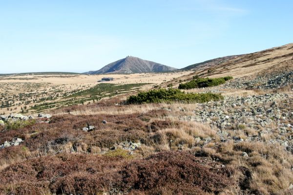 Krkonoše, Luční hora, 21.10.2012
Suťová pole na severním svahu Luční hory. V pozadí Sněžka.
Klíčová slova: Krkonoše Luční hora Luční bouda Sněžka Hypnoidus consobrinus Pheletes aeneoniger Sericus subaeneus