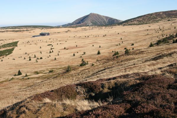 Krkonoše, Luční hora, 21.10.2012
Pohled z Luční hory na Luční boudu a Sněžku
Klíčová slova: Krkonoše Luční hora Luční bouda Sněžka