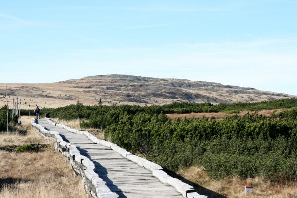 Krkonoše, Úpské rašeliniště, 24.10.2015
Pohled z Úpského rašeliniště na Luční horu.
Keywords: Krkonoše Úpské rašeliniště Luční hora Hypnoidus consobrinus