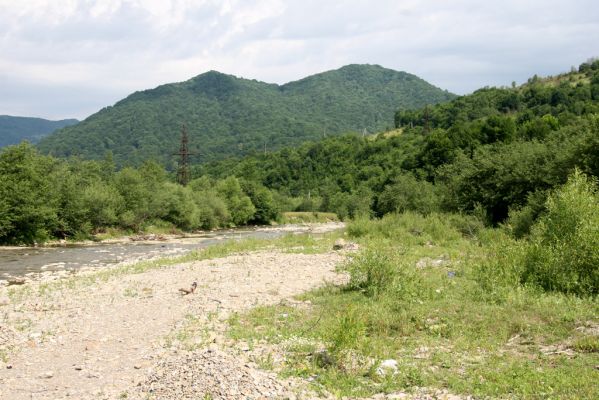 Lug - řeka Už, 23.6.2011
Štěrkové koryto řeky Už pod obcí Lug. Biotop kovaříků Zorochros dermestoides a Z. flavipes.
Klíčová slova: Lug řeka Už Zorochros flavipes dermestoides