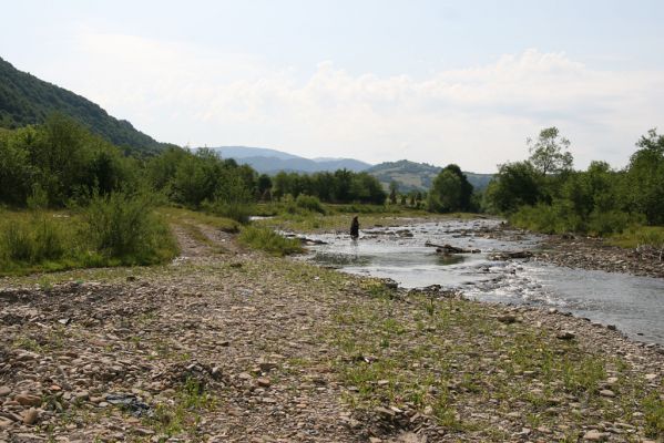 Lug - řeka Už, 23.6.2011
Štěrkové koryto řeky Už pod obcí Lug. Biotop kovaříků Zorochros dermestoides a Z. flavipes.
Klíčová slova: Lug řeka Už Zorochros flavipes dermestoides