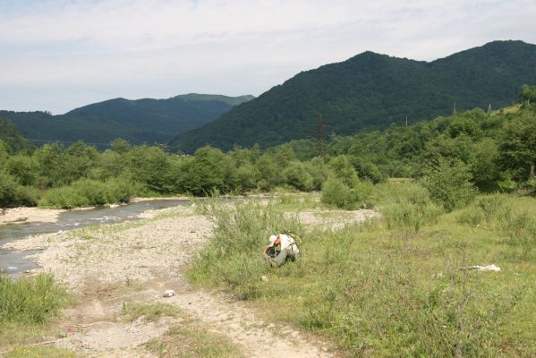 Lug - řeka Už, 23.6.2011
Štěrkový břeh řeky Už pod obcí Lug. Biotop kovaříka Zorochros flavipes.
Schlüsselwörter: Lug řeka Už Zorochros flavipes Petr Brůha