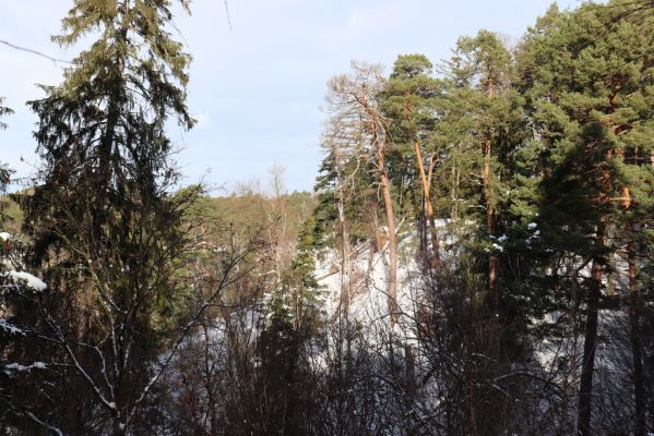 Lukavice, 13.1.2021
Výsonín, Strádovské Peklo.
Klíčová slova: Lukavice Výsonín Strádovské Peklo