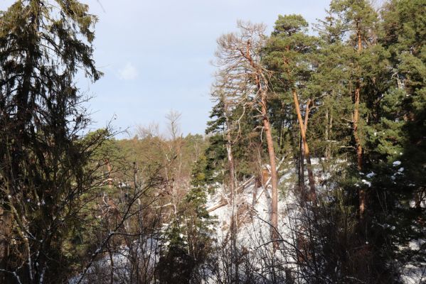 Lukavice, 13.1.2021
Výsonín, Strádovské Peklo.
Klíčová slova: Lukavice Výsonín Strádovské Peklo