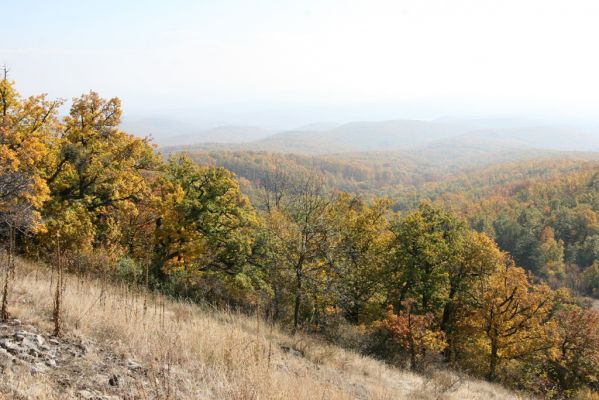 Luboreč, 12.10.2013
Lesostep na jižním svahu pod vrcholem Lysce.



Keywords: Krupinská planina Ostrožky Lysec