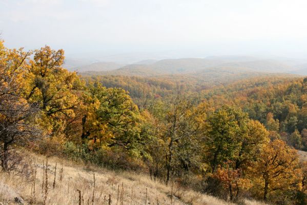 Luboreč, 12.10.2013
Lesostep na jižním svahu pod vrcholem Lysce.



Klíčová slova: Krupinská planina Ostrožky Lysec