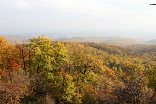 Luboreč, 12.10.2013
Les na jihovýchodním hřbetu pod vrcholem Lysce.



Schlüsselwörter: Krupinská planina Ostrožky Lysec