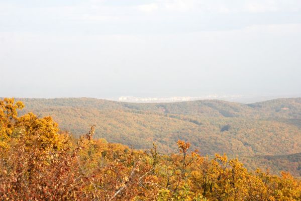 Luboreč, 12.10.2013
Les na jihovýchodním hřbetu pod vrcholem Lysce. Pohled na Lučenec.
 


Klíčová slova: Krupinská planina Ostrožky Lysec Lučenec