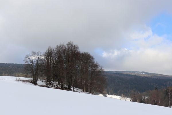 Horní Maršov, 27.2.2022
Horní Lysečiny.
Klíčová slova: Horní Maršov Horní Lysečiny Krkonoše