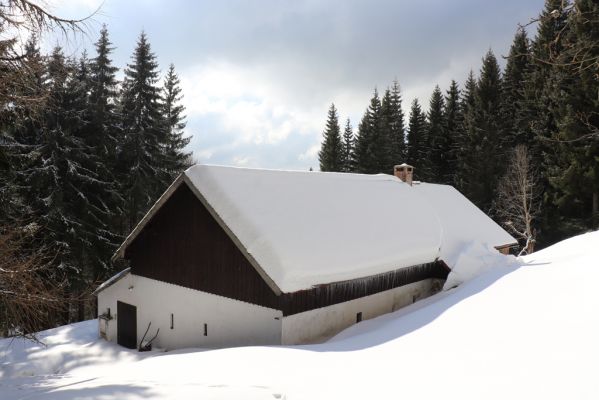 Horní Maršov, 27.2.2022
Údolí Lysečinského potoka u kaple Narození Páně.
Klíčová slova: Horní Maršov Horní Lysečiny Krkonoše Lysečinský potok kaple Narození Páně