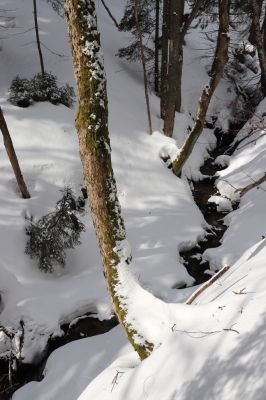 Horní Maršov, 27.2.2022
Údolí Lysečinského potoka pod Lysečinskou boudou.
Keywords: Horní Maršov Horní Lysečiny Krkonoše Lysečinská bouda Lysečinský potok