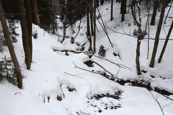 Horní Maršov, 27.2.2022
Údolí Lysečinského potoka pod Lysečinskou boudou.
Schlüsselwörter: Horní Maršov Horní Lysečiny Krkonoše Lysečinská bouda Lysečinský potok