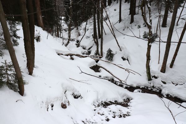 Horní Maršov, 27.2.2022
Údolí Lysečinského potoka pod Lysečinskou boudou.
Mots-clés: Horní Maršov Horní Lysečiny Krkonoše Lysečinská bouda Lysečinský potok