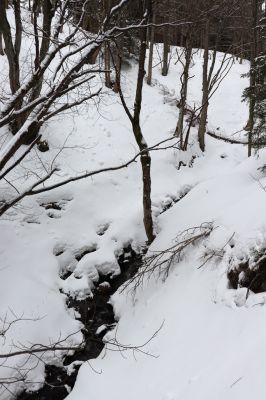 Horní Maršov, 27.2.2022
Údolí Lysečinského potoka pod Lysečinskou boudou.
Klíčová slova: Horní Maršov Horní Lysečiny Krkonoše Lysečinská bouda Lysečinský potok