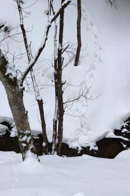 Horní Maršov, 27.2.2022
Údolí Lysečinského potoka pod Lysečinskou boudou.
Klíčová slova: Horní Maršov Horní Lysečiny Krkonoše Lysečinská bouda Lysečinský potok