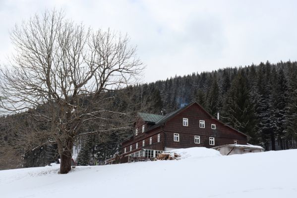 Horní Maršov, 27.2.2022
Lysečinská Bouda.
Klíčová slova: Horní Maršov Horní Lysečiny Krkonoše Lysečinská bouda