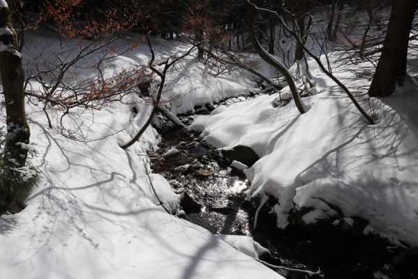 Horní Maršov, 27.2.2022
Lysečinské Boudy - Lysečinský potok.
Klíčová slova: Horní Maršov Horní Lysečiny Krkonoše Lysečinské boudy Lysečinský potok