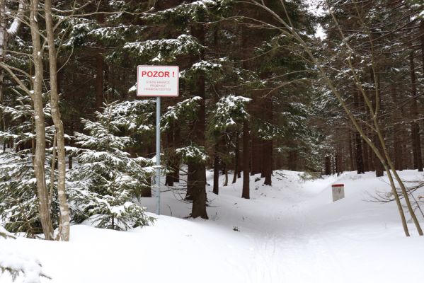 Horní Maršov, 27.2.2022
Horní Albeřice. Pod Lysečinskou boudou.
Schlüsselwörter: Horní Maršov Horní Albeřice Krkonoše