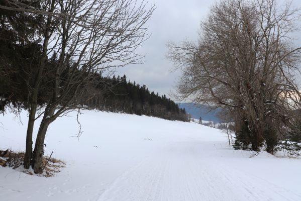 Horní Maršov, 27.2.2022
Horní Albeřice.
Klíčová slova: Horní Maršov Horní Albeřice Krkonoše