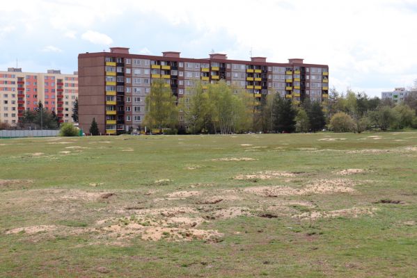 Mladá Boleslav, 6.5.2021
Radouč - syslí kolonie.
Mots-clés: Mladá Boleslav Radouč syslí kolonie