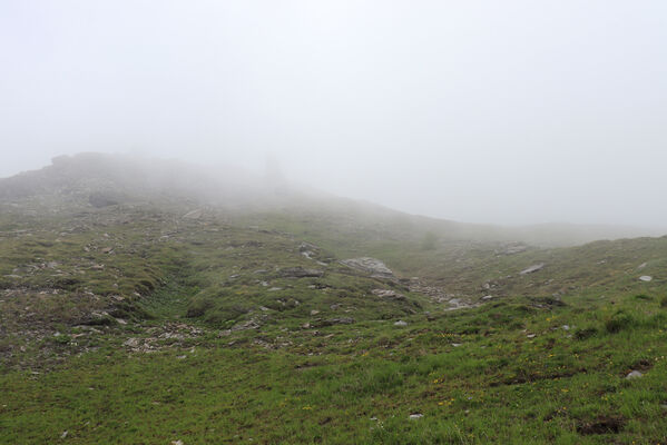 Termignon, Mont-Cenis, Ouillon des Arcellins, 20.6.2023
Západní svah hory Ouillon des Arcellins, 2350-2500m. Biotop kovaříka Selatosomus confluens rugosus.
Mots-clés: France Savoie Termignon Mont-Cenis Ouillon des Arcellins Selatosomus confluens rugosus