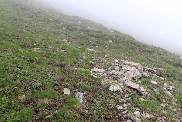 Termignon, Mont-Cenis, Ouillon des Arcellins, 20.6.2023
Západní svah hory Ouillon des Arcellins, 2350-2500m. Biotop kovaříka Selatosomus melancholicus. 
Keywords: France Savoie Termignon Mont-Cenis Ouillon des Arcellins Selatosomus melancholicus