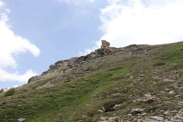 Termignon, Mont-Cenis, Ouillon des Arcellins, 20.6.2023
Západní svah hory Ouillon des Arcellins.
Klíčová slova: France Savoie Termignon Mont-Cenis Ouillon des Arcellins