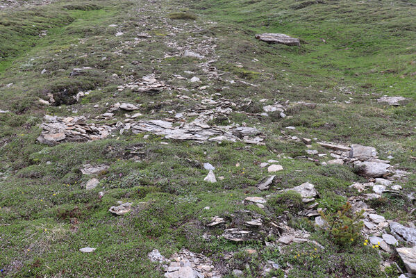 Termignon, Mont-Cenis, Ouillon des Arcellins, 20.6.2023
Západní svah hory Ouillon des Arcellins, 2350-2500m. Biotop kovaříka Selatosomus melancholicus.
Schlüsselwörter: France Savoie Termignon Mont-Cenis Ouillon des Arcellins Selatosomus melancholicus