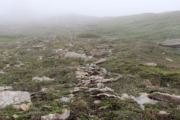 Termignon, Mont-Cenis, Ouillon des Arcellins, 20.6.2023
Západní svah hory Ouillon des Arcellins, 2350-2500m. Biotop kovaříka Berninelsonius hyperboreus.
Mots-clés: France Savoie Termignon Mont-Cenis Ouillon des Arcellins Berninelsonius hyperboreus