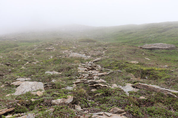 Termignon, Mont-Cenis, Ouillon des Arcellins, 20.6.2023
Západní svah hory Ouillon des Arcellins, 2350-2500m. Biotop kovaříka Berninelsonius hyperboreus.
Klíčová slova: France Savoie Termignon Mont-Cenis Ouillon des Arcellins Berninelsonius hyperboreus