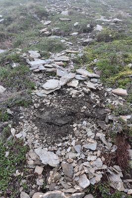 Termignon, Mont-Cenis, Ouillon des Arcellins, 20.6.2023
Západní svah hory Ouillon des Arcellins, 2350-2500m. Biotop kovaříka Berninelsonius hyperboreus.
Mots-clés: France Savoie Termignon Mont-Cenis Ouillon des Arcellins Berninelsonius hyperboreus