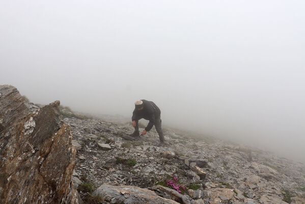 Termignon, Mont-Cenis, Ouillon des Arcellins, 20.6.2023
Západní svah hory Ouillon des Arcellins, 2350-2500m. Biotop kovaříka Berninelsonius hyperboreus.
Mots-clés: France Savoie Termignon Mont-Cenis Ouillon des Arcellins Berninelsonius hyperboreus Mertlik