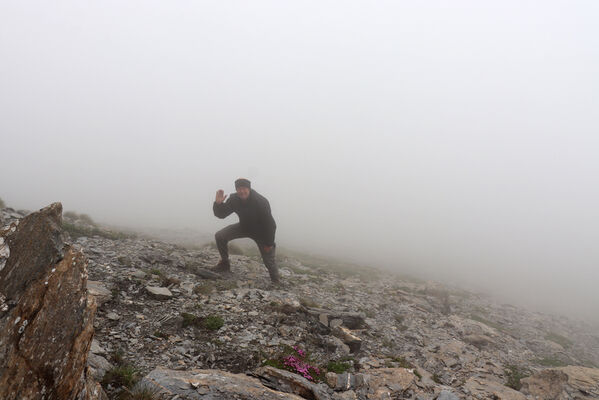 Termignon, Mont-Cenis, Ouillon des Arcellins, 20.6.2023
Západní svah hory Ouillon des Arcellins, 2350-2500m. Biotop kovaříka Berninelsonius hyperboreus.
Keywords: France Savoie Termignon Mont-Cenis Ouillon des Arcellins Berninelsonius hyperboreus Mertlik