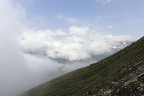 Termignon, Mont-Cenis, Ouillon des Arcellins, 20.6.2023
Západní svah hory Ouillon des Arcellins, 2350-2500m.
Schlüsselwörter: France Savoie Termignon Mont-Cenis Ouillon des Arcellins