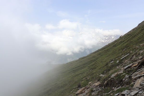 Termignon, Mont-Cenis, Ouillon des Arcellins, 20.6.2023
Západní svah hory Ouillon des Arcellins, 2350-2500m.
Mots-clés: France Savoie Termignon Mont-Cenis Ouillon des Arcellins