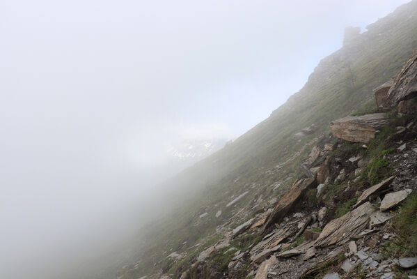 Termignon, Mont-Cenis, Ouillon des Arcellins, 20.6.2023
Západní svah hory Ouillon des Arcellins, 2350-2500m.
Klíčová slova: France Savoie Termignon Mont-Cenis Ouillon des Arcellins