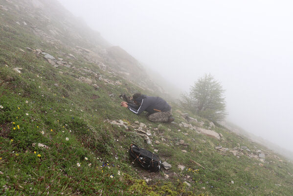 Termignon, Mont-Cenis, Ouillon des Arcellins, 20.6.2023
Západní svah hory Ouillon des Arcellins, 2350-2500m. Kolega Václav Dušánek fotí kovaříka Selatosomus melancholicus.
Klíčová slova: France Savoie Termignon Mont-Cenis Ouillon des Arcellins Selatosomus melancholicus Dušánek