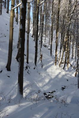 Machov, 22.1.2022
Údolí Borského potoka - Farní stráň.
Schlüsselwörter: Machov Borský potok údolí Farní stráň