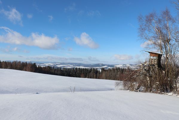 Bukowina Kłodzka, 22.1.2022
Pohled na Adršpašsko-teplické skály a Ostaš. 
Mots-clés: Bukowina Kłodzka Adršpašsko-teplické skály Ostaš