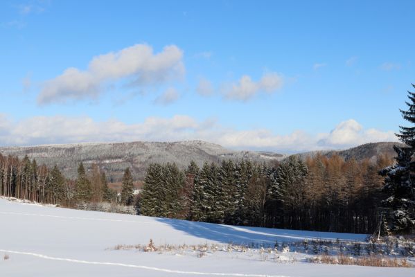 Machov, 22.1.2022
Bukovina, pohled na Broumovské stěny a Božanovský Špičák.
Keywords: Machov Bukovina Broumovské stěny Božanovský Špičák