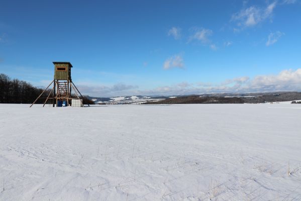 Machov, 22.1.2022
Vyhlídka U Jeřábu - pohled na Broumovské stěny.
Klíčová slova: Machov U Jeřábu Broumovské stěny