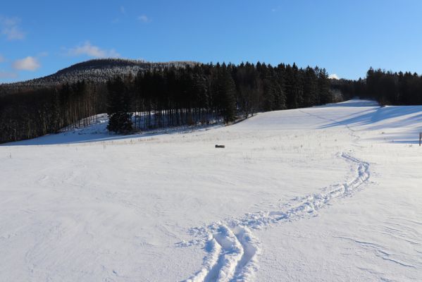 Machov, 22.1.2022
Vyhlídka U Jeřábu - pohled na Bludné skály.
Schlüsselwörter: Machov U Jeřábu Bludné skály