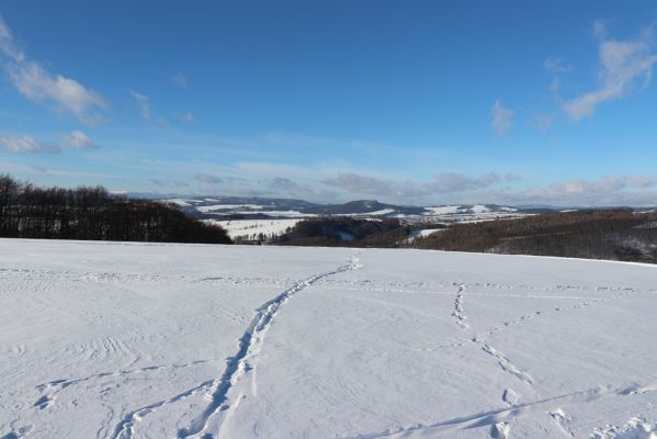 Machov, 22.1.2022
Vyhlídka U Jeřábu - Adršpašsko-teplické skály a Ostaš.
Klíčová slova: Machov U Jeřábu Krkonoše Ostaš