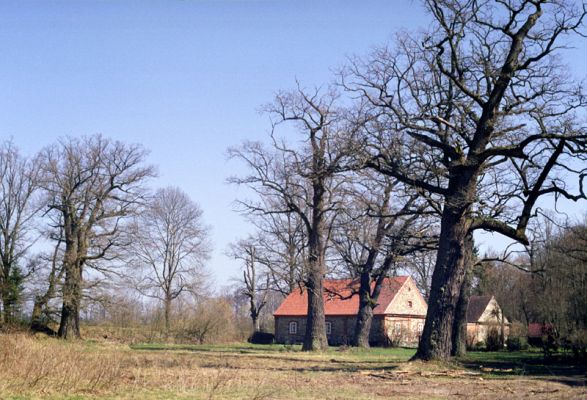 Majdalena, Nová řeka, 4.4.2002
Solitérní duby u Novořecké Bašty. 
Keywords: Majdalena Nová řeka Novořecká Bašta