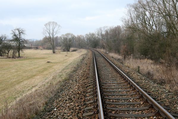 Náchod, Malé Poříčí, 13.2.2016
Vrbový háj podél železniční trati. 
Klíčová slova: Náchod Malé Poříčí Calambus bipustulatus Denticollis linearis