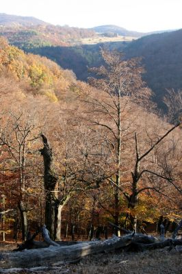 Malá Lehota, 26.10.2013
Hlboká dolina, vrch Kamenné vráta. Pohled na Brezov Štál. 
Klíčová slova: Malá Lehota Hlboká dolina vrch Kamenné vráta Brezov Štál